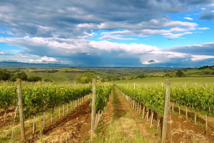 MontefollonicoAbbadia Wine Relais住宿加早餐旅馆 外观 照片