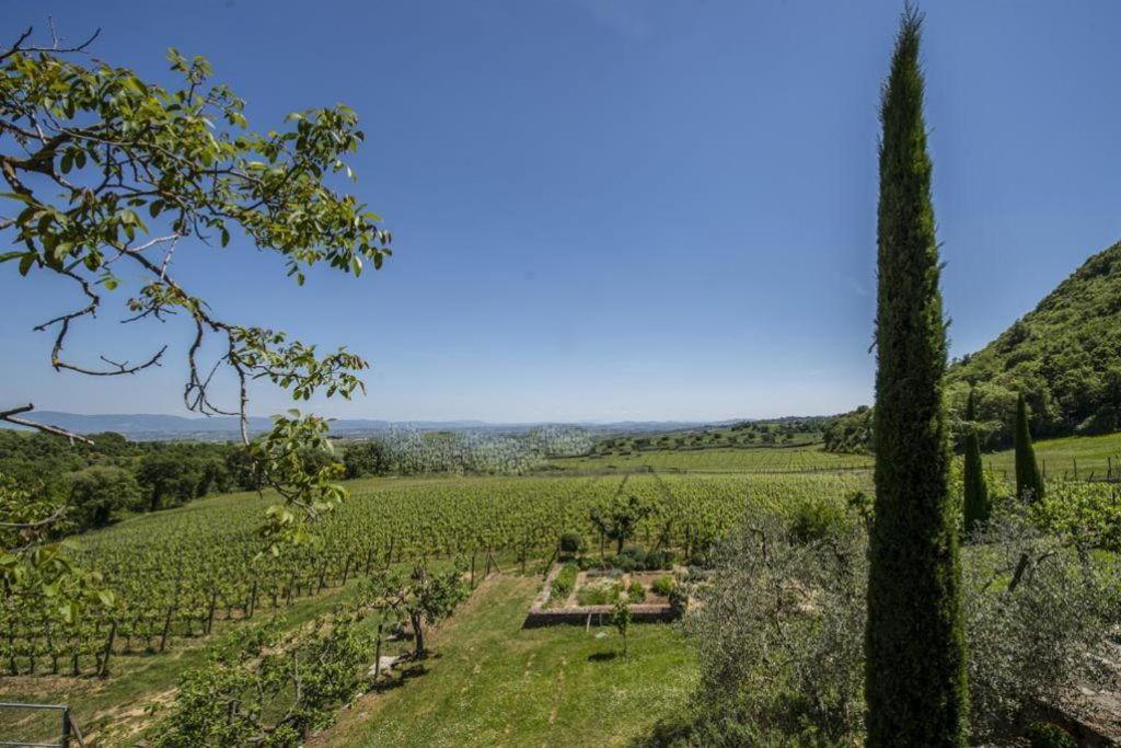 MontefollonicoAbbadia Wine Relais住宿加早餐旅馆 外观 照片