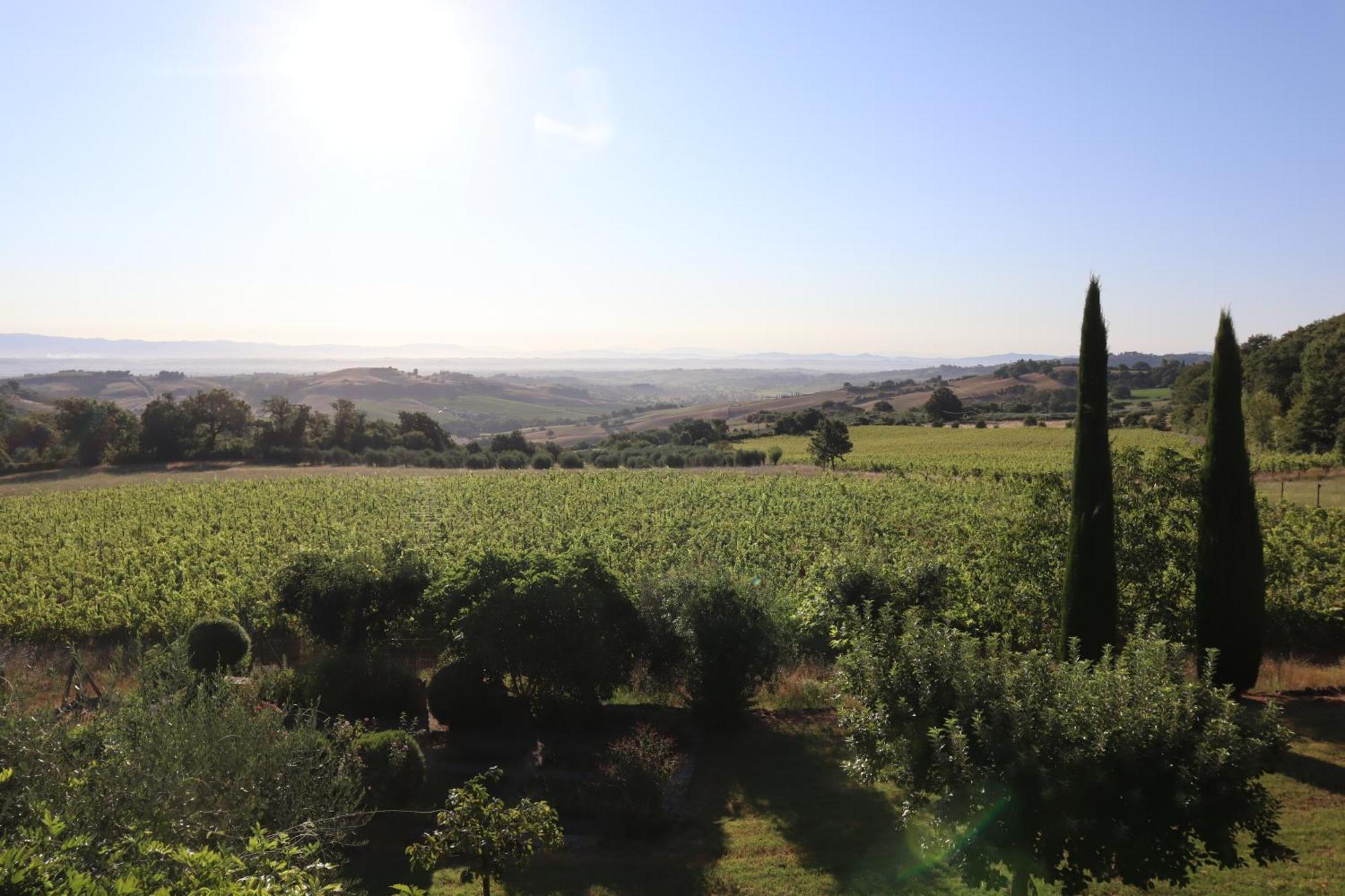 MontefollonicoAbbadia Wine Relais住宿加早餐旅馆 外观 照片