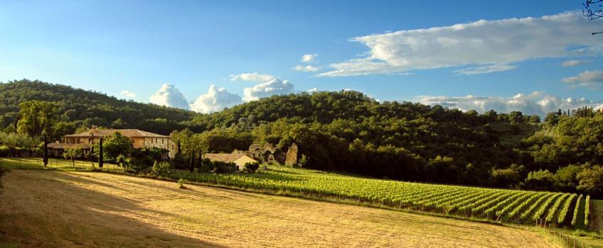 MontefollonicoAbbadia Wine Relais住宿加早餐旅馆 外观 照片