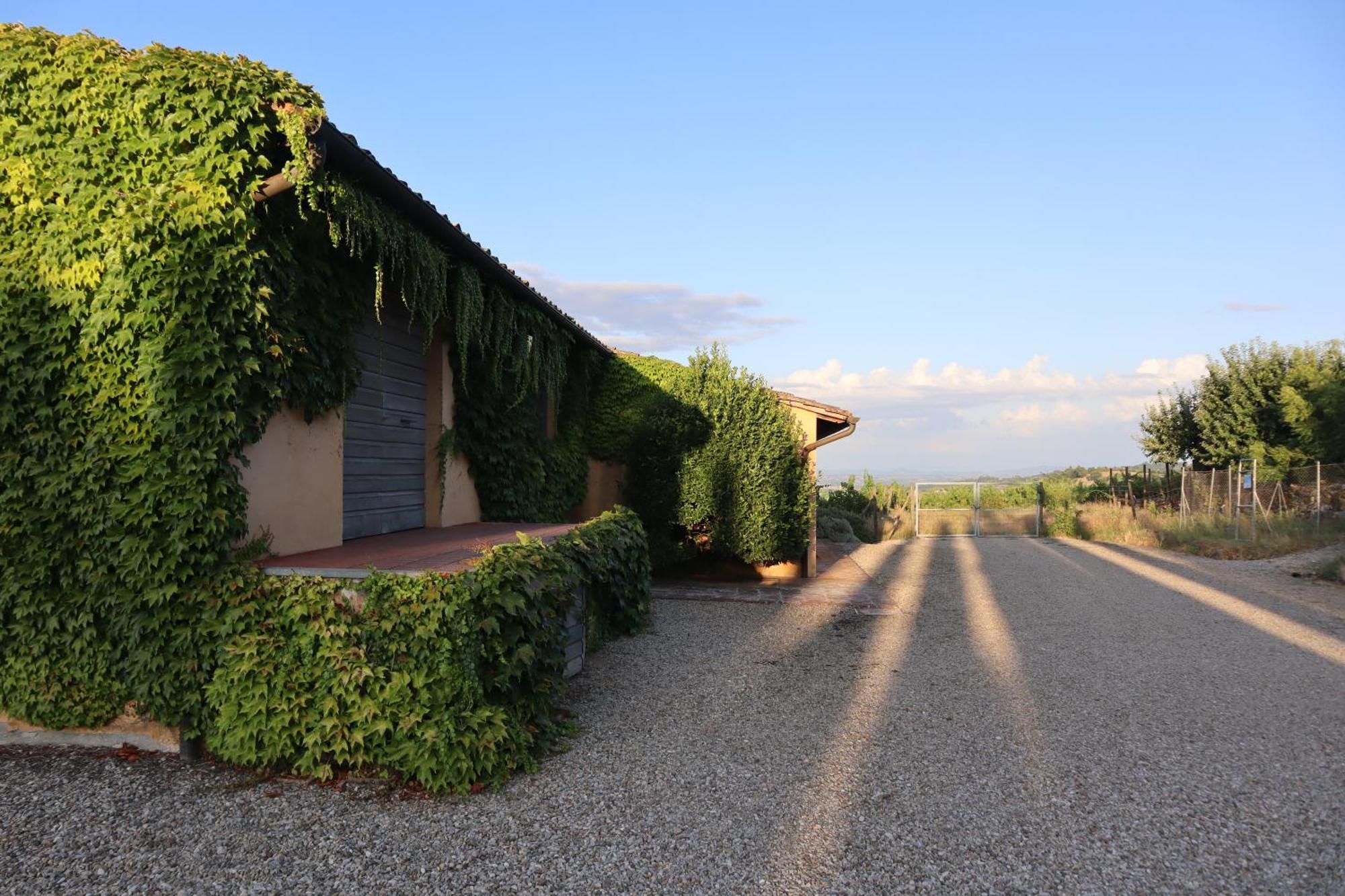 MontefollonicoAbbadia Wine Relais住宿加早餐旅馆 外观 照片
