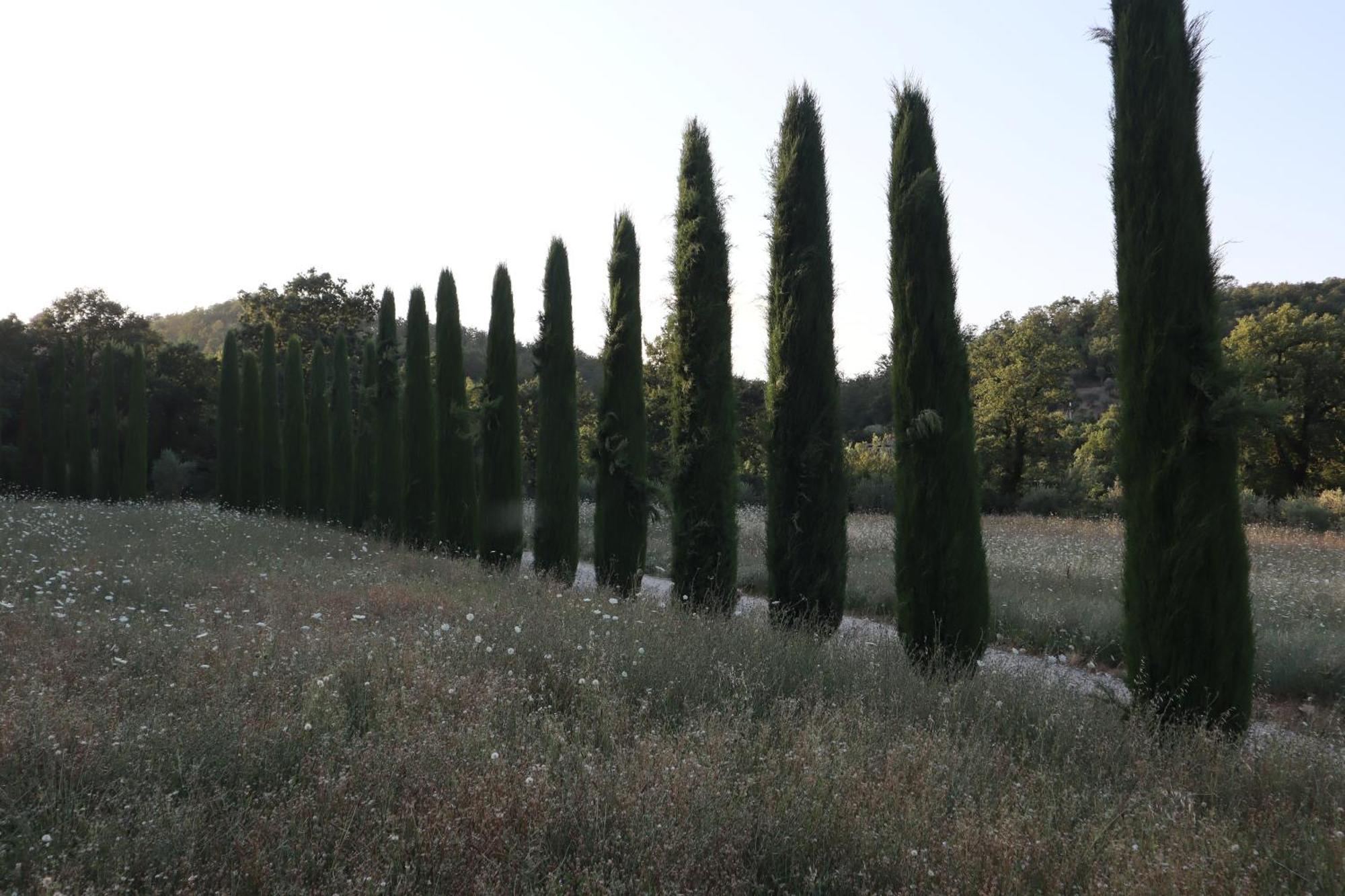 MontefollonicoAbbadia Wine Relais住宿加早餐旅馆 外观 照片
