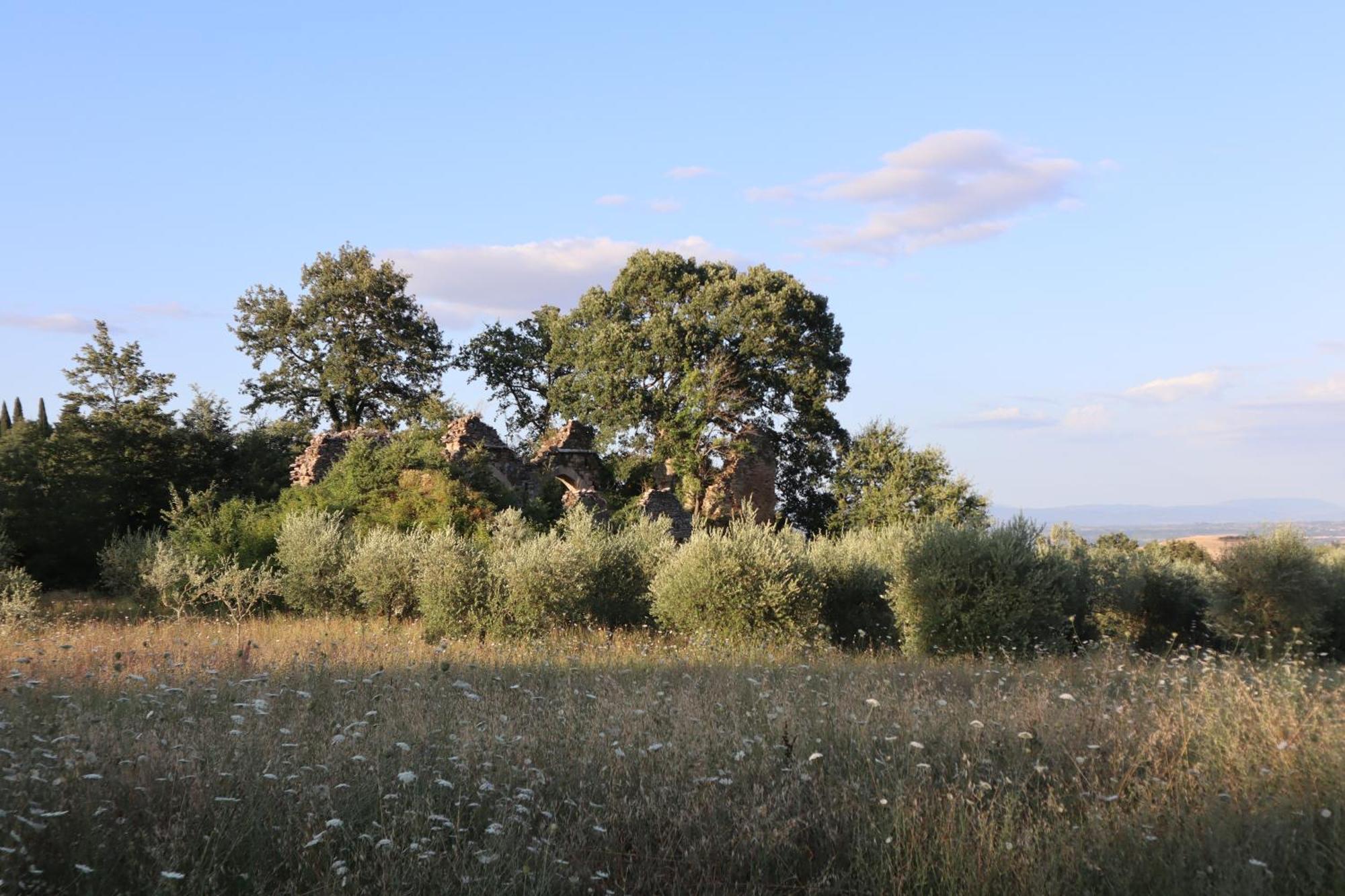 MontefollonicoAbbadia Wine Relais住宿加早餐旅馆 外观 照片
