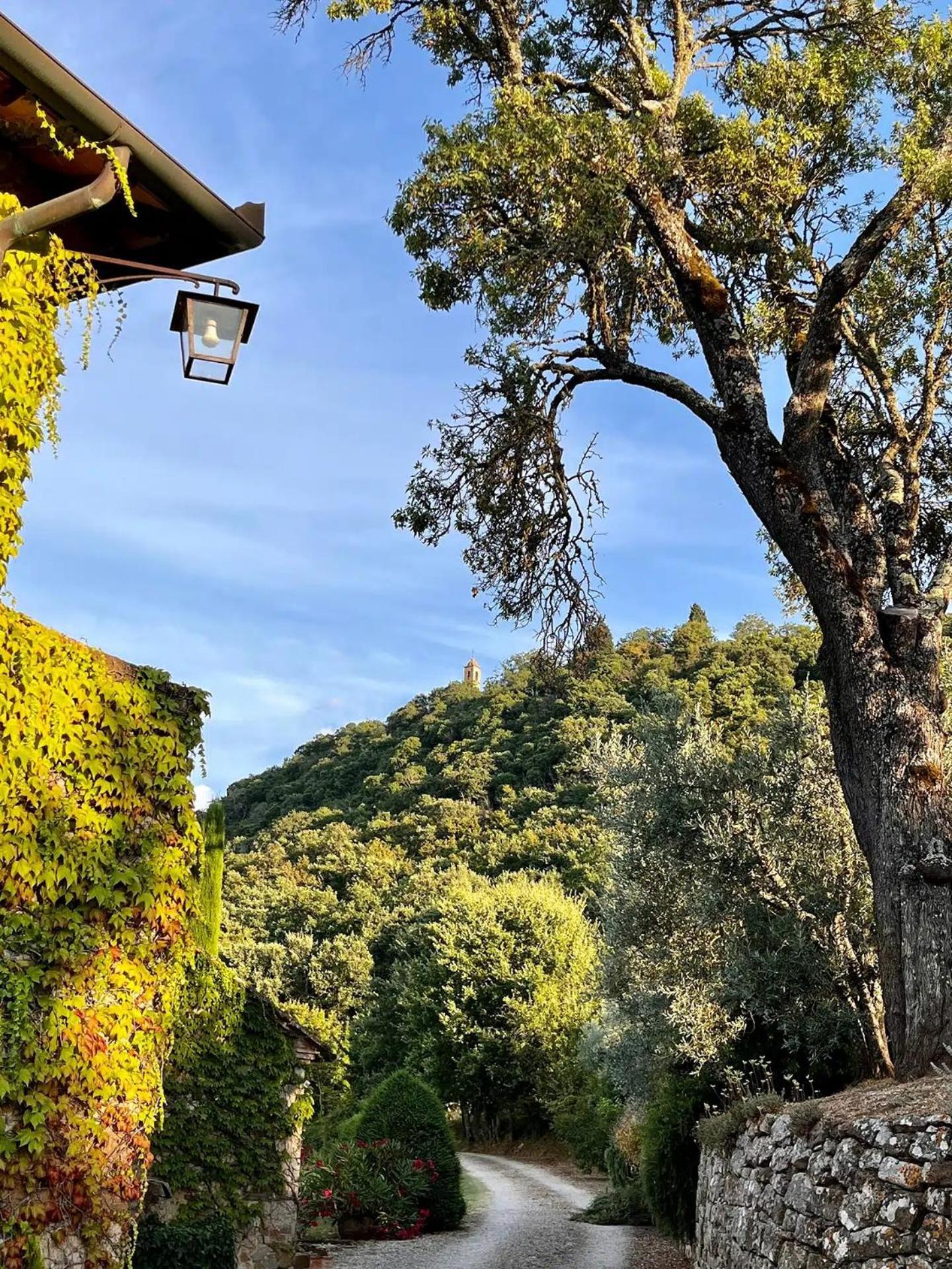 MontefollonicoAbbadia Wine Relais住宿加早餐旅馆 外观 照片